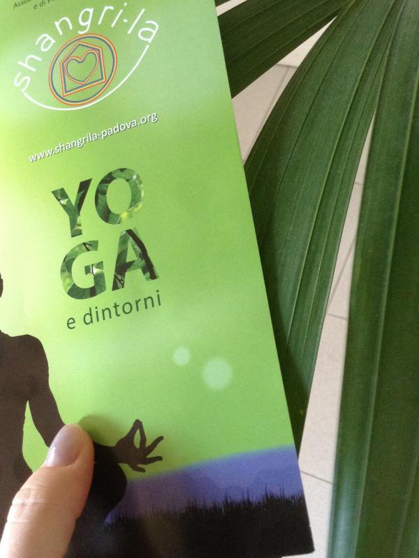 Shangri-la - leaflet